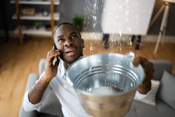 Best Water damage restoration near me  in Newport, OH