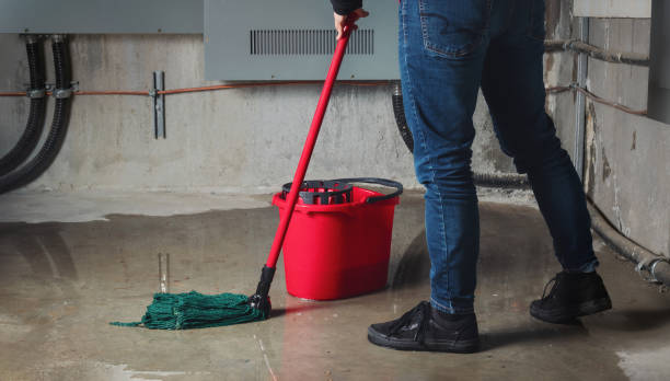 Best Water damage restoration company  in Newport, OH