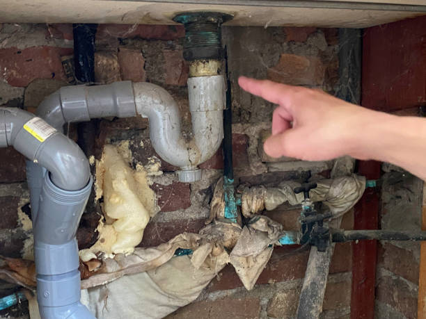Best Commercial water damage restoration  in Newport, OH